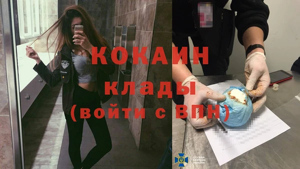 стаф Абинск