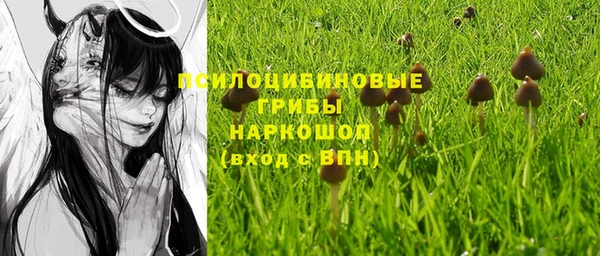 стаф Абинск