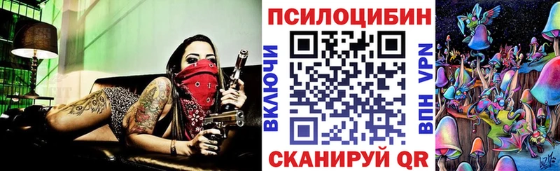 Псилоцибиновые грибы мицелий  Дрезна 